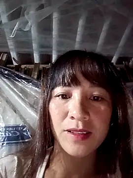 Mini3333 online show from October 27, 5:17 pm