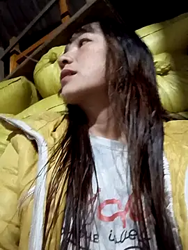 Mini3333 online show from November 25, 11:10 am