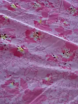 Hl1979 online show from April 24, 6:27 am