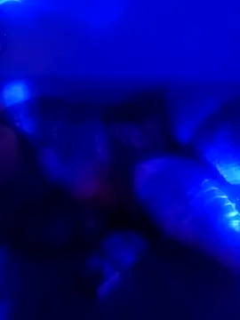 senacansu online show from October 26, 2:50 am