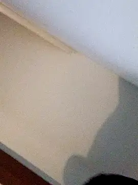 Snapshot of Andrez5041 chatting on October 14, 4:02 am Andrez5041 online show from October 14, 4:02 am