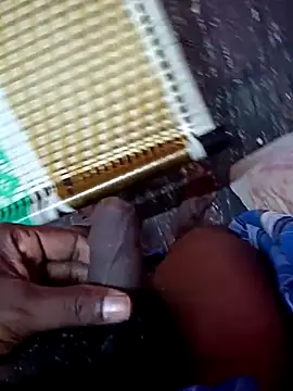 dolphiinn online show from November 24, 1:11 pm