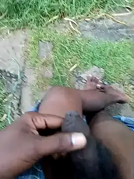 dolphiinn online show from December 22, 1:13 am