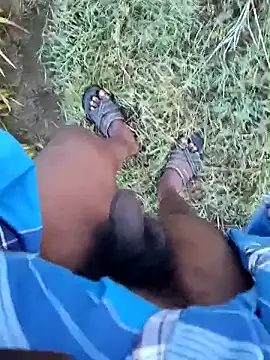 dolphiinn online show from January 19, 1:09 am