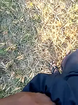 dolphiinn online show from April 1, 12:06 pm