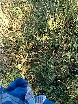 dolphiinn online show from April 19, 1:49 am