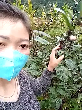 Snapshot of qychiu chatting on November 13, 1:48 am qychiu online show from November 13, 1:48 am