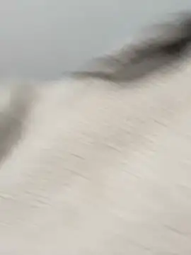 Victoria alson online show from February 19, 1:29 pm