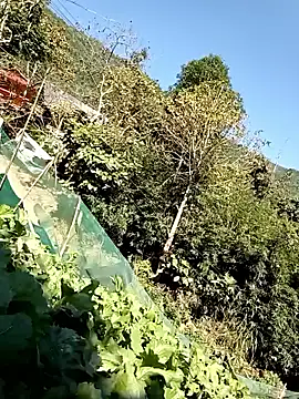 Snapshot of Maymay0033 chatting on November 29, 4:59 am Maymay0033 online show from November 29, 4:59 am