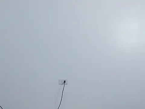 Siglemom sexy online show from April 1, 7:55 pm