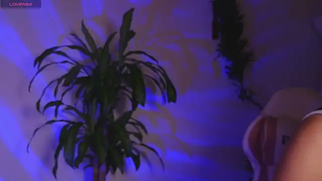 bri von dhara   online show from April 26, 1:47 am