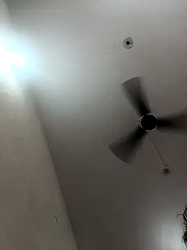 Appypie online show from October 23, 7:18 am