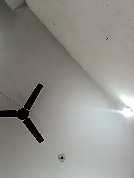 Appypie online show from November 7, 6:13 am