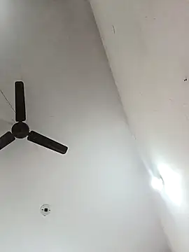 Appypie online show from December 14, 5:13 am