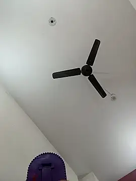 Appypie online show from January 11, 6:35 pm