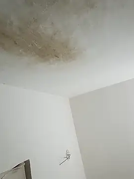 Snapshot of thunderrony chatting on October 6, 3:09 pm thunderrony online show from October 6, 3:09 pm