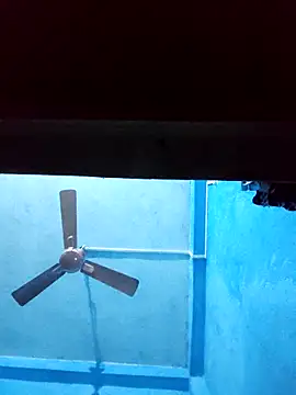 BlackCobraOwner online show from November 28, 1:03 pm