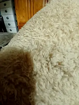 Ahalm online show from November 16, 2:33 pm