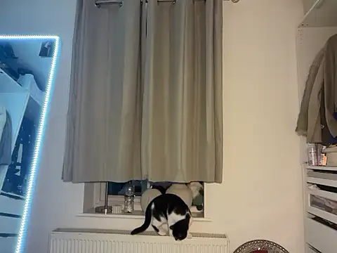 KayleeBella online show from December 3, 9:24 pm