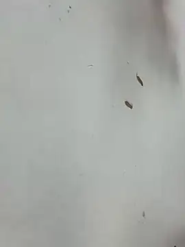 Baby-mmm online show from January 10, 5:20 am