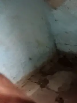 Sheema tyagi online show from November 11, 7:47 pm