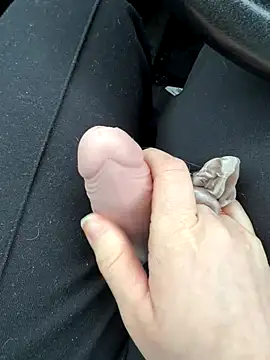 lanameijer online show from January 8, 2:30 pm