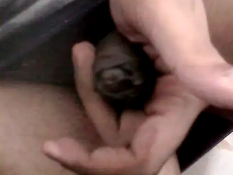 Snapshot of Bakasur_19 chatting on October 9, 3:32 pm Bakasur 19 online show from October 9, 3:32 pm