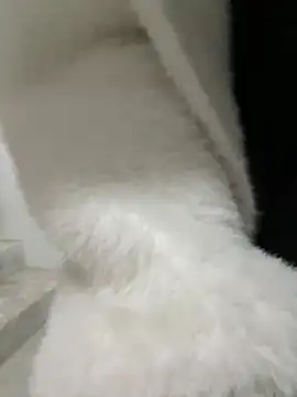 Snapshot of Cumonmme chatting on January 18, 8:23 pm Cumonmme online show from January 18, 8:23 pm