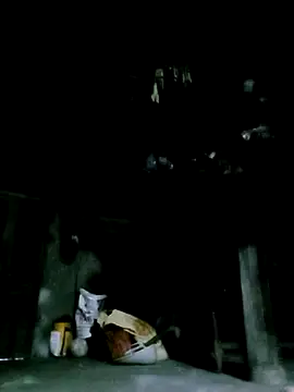 ngan-cute online show from December 16, 10:09 am