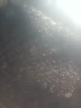 Hot era online show from January 8, 7:10 am