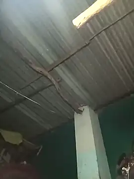 Snapshot of Hot-honi chatting on September 19, 1:45 pm Hot-honi online show from September 19, 1:45 pm