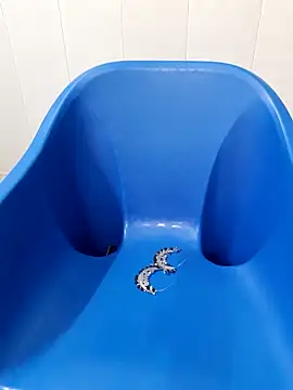 siya rani67 online show from September 14, 3:38 am