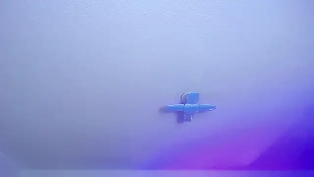  Charlotte Collins  online show from March 6, 2:35 pm