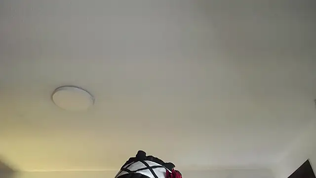  Charlotte Collins  online show from March 31, 2:50 pm