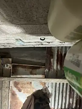 SaraBust online show from April 7, 4:24 am