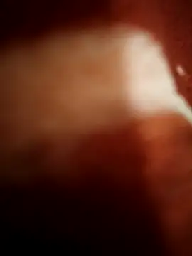 Snapshot of sexy__girls98 chatting on November 8, 11:47 pm sexy girls98 online show from November 8, 11:47 pm