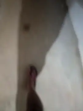 Snapshot of sexy__girls98 chatting on November 27, 12:13 am sexy girls98 online show from November 27, 12:13 am