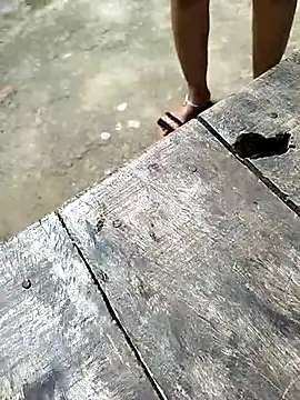 Snapshot of sexy__girls98 chatting on December 3, 5:48 am sexy girls98 online show from December 3, 5:48 am