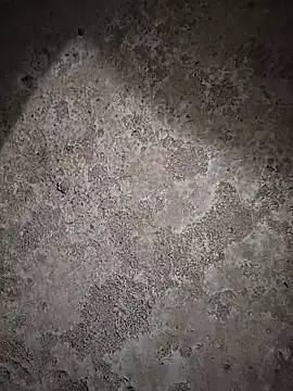 Snapshot of sexy__girls98 chatting on February 6, 11:46 am sexy girls98 online show from February 6, 11:46 am