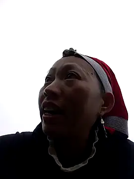 tcm-cute online show from November 12, 7:31 am