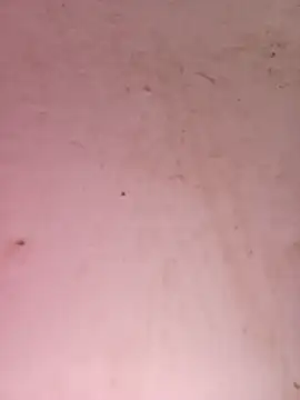 Payal950 online show from September 25, 6:17 am