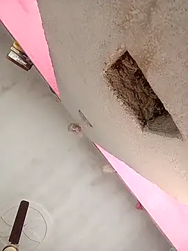 Payal950 online show from February 7, 7:45 am