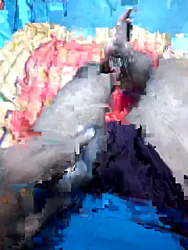 Snapshot of Hyd-bad-boy-25 chatting on September 27, 5:56 am Hyd-bad-boy-25 online show from September 27, 5:56 am