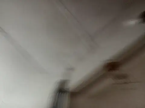 isabella brown1 online show from March 19, 11:09 pm