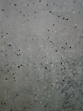 Mr xxx007xh online show from March 1, 1:18 am