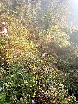 hera-00 online show from December 19, 1:12 am