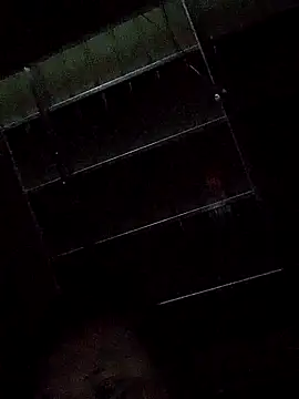 pussywet 08 online show from October 10, 12:15 pm