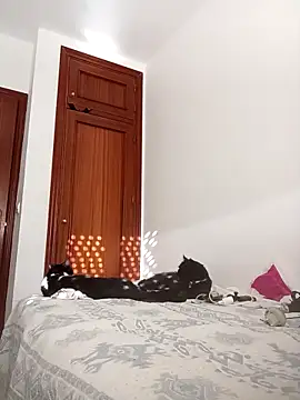 oscartres online show from November 2, 3:25 pm