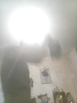 Bebicho14 online show from November 14, 2:10 am