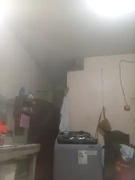 Bebicho14 online show from March 20, 12:54 pm